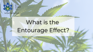 What is the Entourage Effect - KC Hemp Co.®