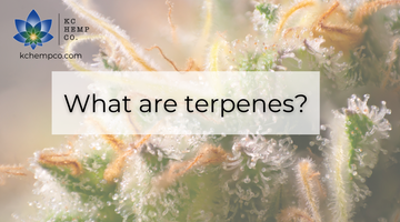 What are Terpenes? - KC Hemp Co.®